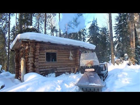 Видео: 23 февраля \ ПРАЗДНИЧНАЯ РЫБАЛКА НА ЛЕСНОЙ РЕЧКЕ \ Часть 1 \ Пробиваемся на новые места