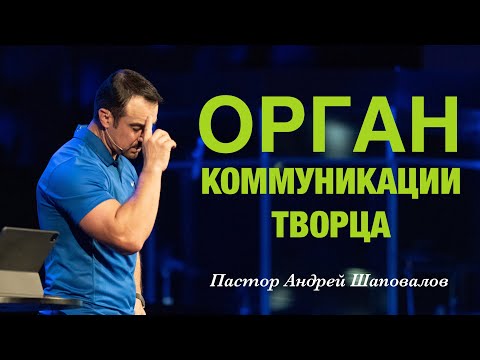 Видео: «Орган коммуникации Творца» Пастор Андрей Шаповалов