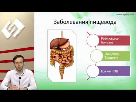 Видео: ГастроЭкспресс   болезни пищеварения в поликлинике