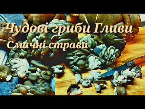 Видео: Готуємо гриби ГЛИВИ. Прості і дуже смачні страви.