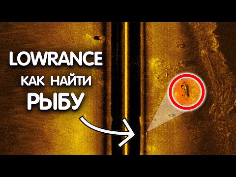 Видео: КАК выглядит рыба на экране эхолота LOWRANCE HDS LIVE. КАК ЭХОЛОТ ПОКАЗЫВАЕТ РЫБУ.
