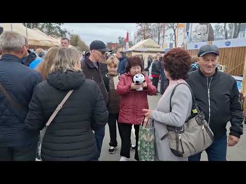 Видео: ДОЖИНКИ - БРЕСТСКАЯ ОБЛАСТЬ - МИКАШЕВИЧИ