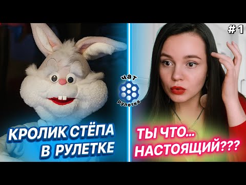 Видео: Я оживил кролика… и девушка подумала, что он живой