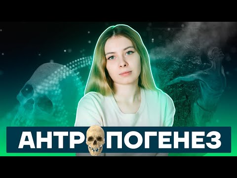 Видео: Антропогенез | Биология ЕГЭ 10 класс | Умскул