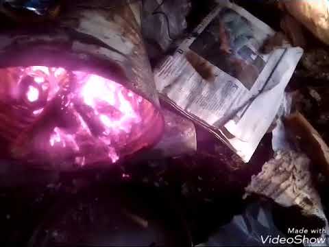 Видео: Строительство шалаша в лесу.