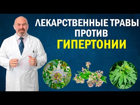 Видео: 🌱 ЛЕКАРСТВЕННЫЕ ТРАВЫ ПРОТИВ ГИПЕРТОНИИ - травы от гипертонии, травы снижающие давление фитотерапия