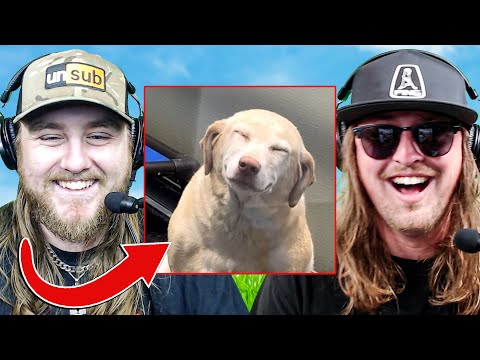 Видео: Уморительные мемы про ежедневную дозу