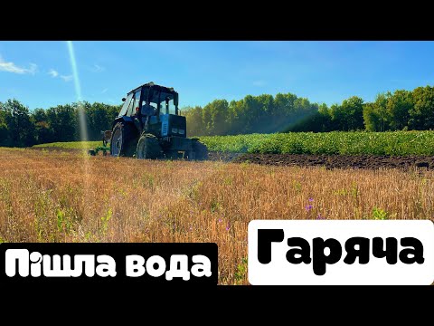 Видео: ❌ОРАНКА❌пішов процес,плуг велес агро 2+1,справляється на 100%