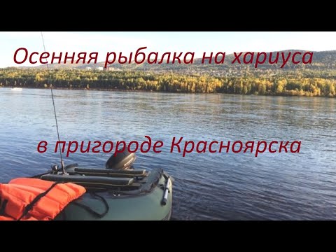 Видео: Осенняя рыбалка на хариуса с лодки в пригороде Красноярска. Перезаливка.