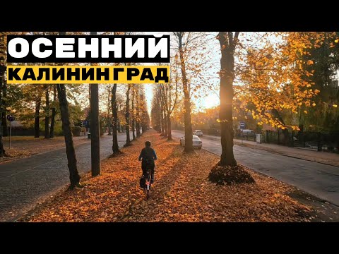 Видео: Осенний Калининград 2024 | Велопрогулка по городу