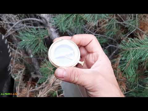 Видео: Аномалия.Шульговский лес.2020г.