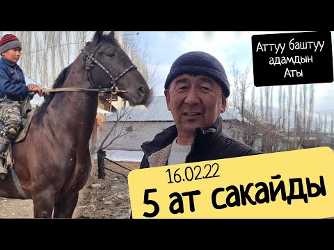 Видео: Беш ат САКАЙДЫ 😱КАМАЛ АКАДА КАРА АТ КЕЛДИ сатылды