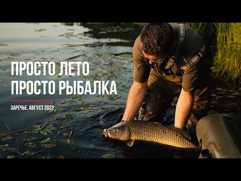 Видео: Ловля карпа летом в завоз (Заречье, август 2022)