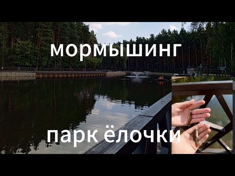 Видео: мормышинг в парке ёлочки.