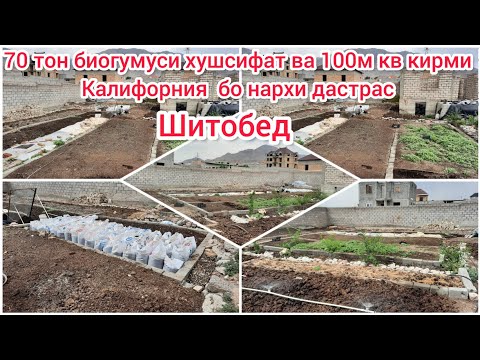 Видео: 70 тон биогумуси хушсифат ва 100м кв кирми Калифорния бо нархи дастрас шитобед. Биогумус Хуҷанд