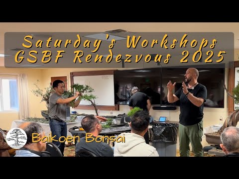 Видео: Субботние семинары и мастер-классы на GSBF Bonsai Rendezvous 2025 — Baikoen Bonsai Club