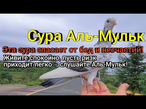 Видео: Аль-Мульк – приносит свет, мир и ризк в ваш дом!