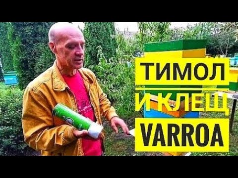 Видео: #Тимол против #клеща #варроа: результат 😮😨🤔