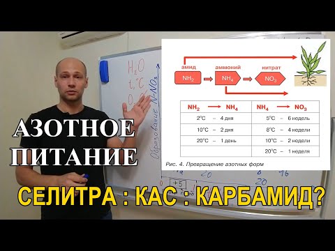 Видео: Стратегия применения азотных удобрений: аммиачная селитра, карбамид или КАС?