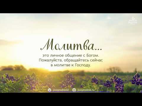 Видео: 29 октября 2025 (среда) в 19:00