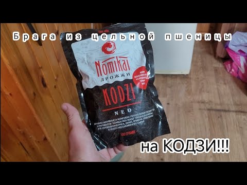 Видео: Рецепт браги на кодзи из цельной пшеницы