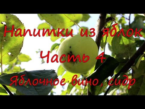 Видео: Напитки из яблок. Часть 4. Яблочное вино, сидр.