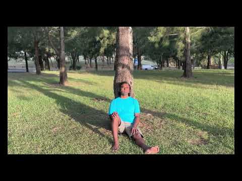 Видео: Крис Де Бург - Вот твой рай (кавер-версия песни)