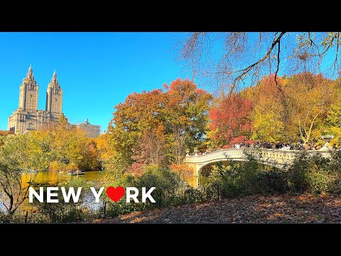 Видео: 🇺🇸 Насладитесь атмосферой осени в Центральном парке и Верхнем Ист-Сайде, Нью-Йорк🍁👻🎃 Октябрь 2024 г.