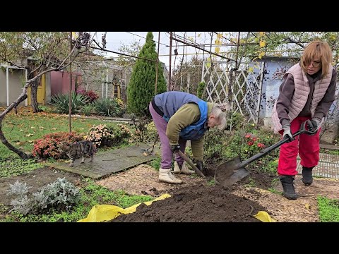 Видео: Сюрприз для хресниці.❤️🥰 Знову припахала куму, риємо, копаємо, саджаємо.🤔