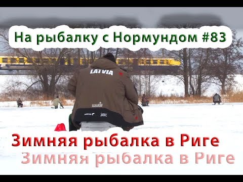 Видео: Зимняя рыбалка в центре Риги. На рыбалку с Нормундом #83