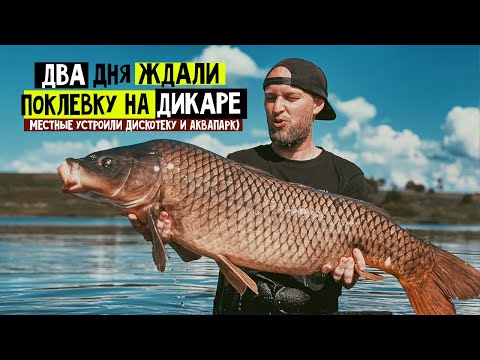 Видео: ДВА дня ЖДАЛИ поклевку на ДИКАРЕ и поймали КАРПА 13 кг 😮 ! ТЕСТ НОВОЙ ПРИКОРМКИ! Рыбалка с ночевкой