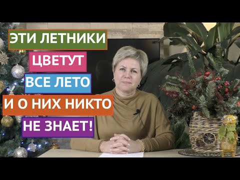Видео: ЭТИ ОДНОЛЕТНИКИ ЦВЕТУТ ВСЕ ЛЕТО И НЕ ТРЕБУЮТ БОЛЬШОГО УХОДА!