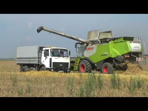 Видео: Деревня 2021! Очень классная песня! Просто послушайте!