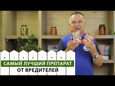 Видео: Уникальный препарат ХХI века для обработки сада от вредителей | Чем обработать плодовые?