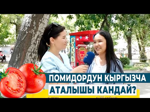 Видео: ПОМИДОРДУН КЫРГЫЗЧА АТАЛЫШЫ КАНДАЙ? //Теле тест