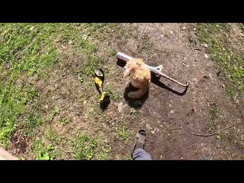 Видео: Альфа 50(150). Душит ли глушитель?