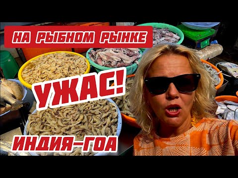 Видео: Индия. Посмотрите что продают в Гоа на рыбном рынке? Как доехать с автовокзала Маргао #индия #гоа