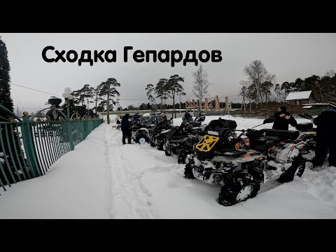 Видео: 🔥 Сходка Гепардов. Собрали 10 Stels Guepard на разной резине и разной модификации. Проводили зиму🔥