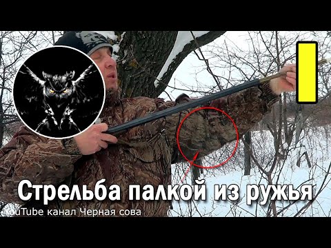 Видео: Как выгнать куницу из дупла. Стрельба палкой из ружья.