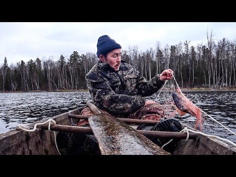 Видео: Стать мужчиной по-селькупски. Охота и рыбалка в Сибири. Часть 2 | С полем!