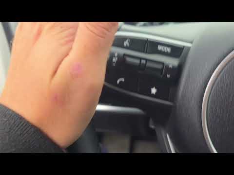 Видео: Подобран автомобиль из Южной Кореи Kia Sportage 