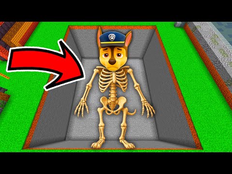 Видео: Я нашел СКЕЛЕТ ГОНЩИКА ЩЕНЯЧИЙ ПАТРУЛЬ в Майнкрафте