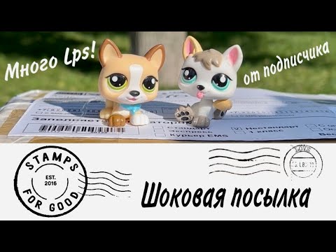 Видео: LPS / ШОК ! СУПЕР ПОСЫЛКА от ПОДПИСЧИКА / lps распаковка