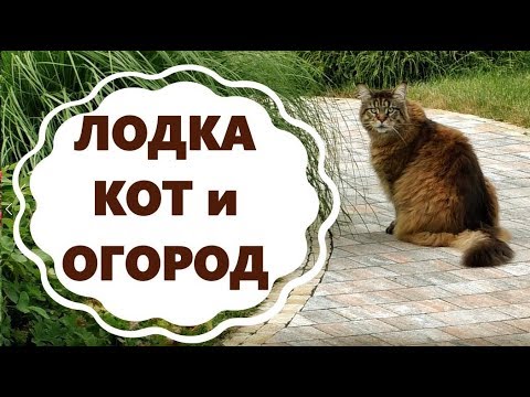 Видео: Лодка, Кот,  Огород и Скворечник