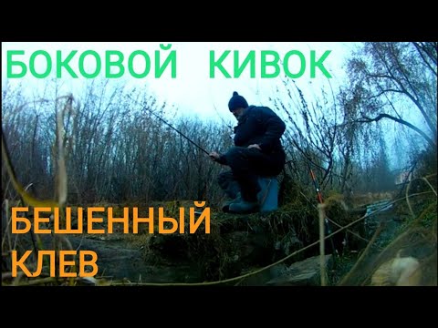 Видео: Боковой кивок на течении.Рыба клюет на каждом забросе.