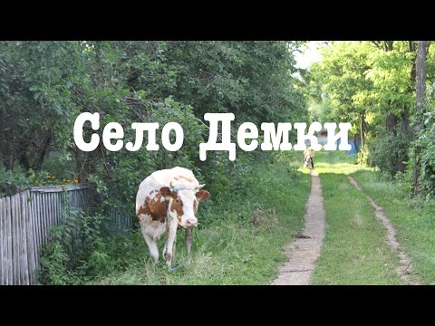 Видео: Село Демки черкасская область(фото)