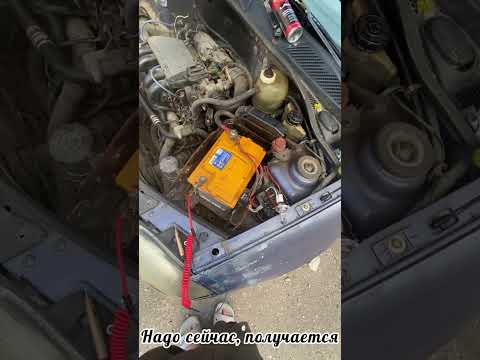 Видео: Renault Clio. Не запускается