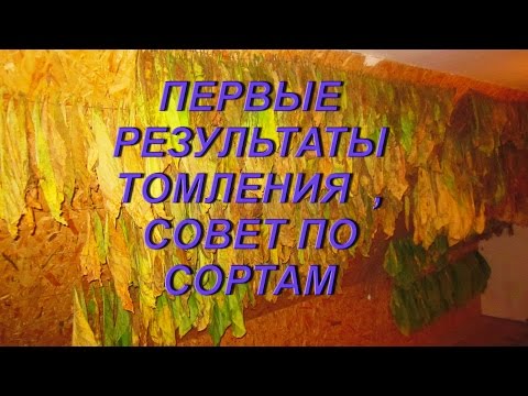 Видео: ДНЕВНИК ТАБАКОВОДА № 30 ( 12.07,  РЕЗУЛЬТАТЫ ТОМЛЕНИЯ ПЕРВЫХ ЛОМОК ) ТАБАК