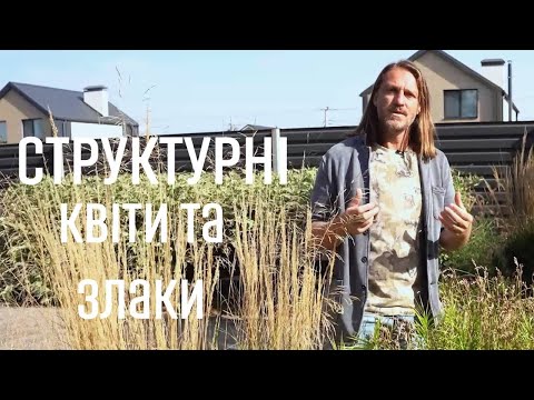 Видео: ЛАНДШАФТНИЙ ДИЗАЙН | СТРУКТУРНІ КВІТИ ТА ЗЛАКИ