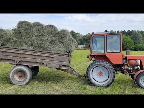 Видео: Прессуем второй укос сена китайским пресс-подборщиком YK850